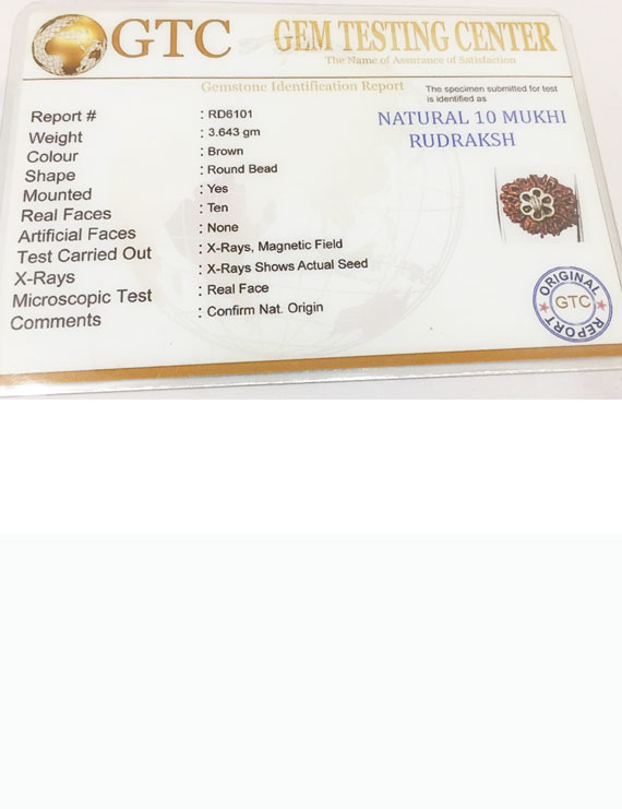 10 Mukhi Certified Rudraksha Silver Pendant (Nepal Origin)